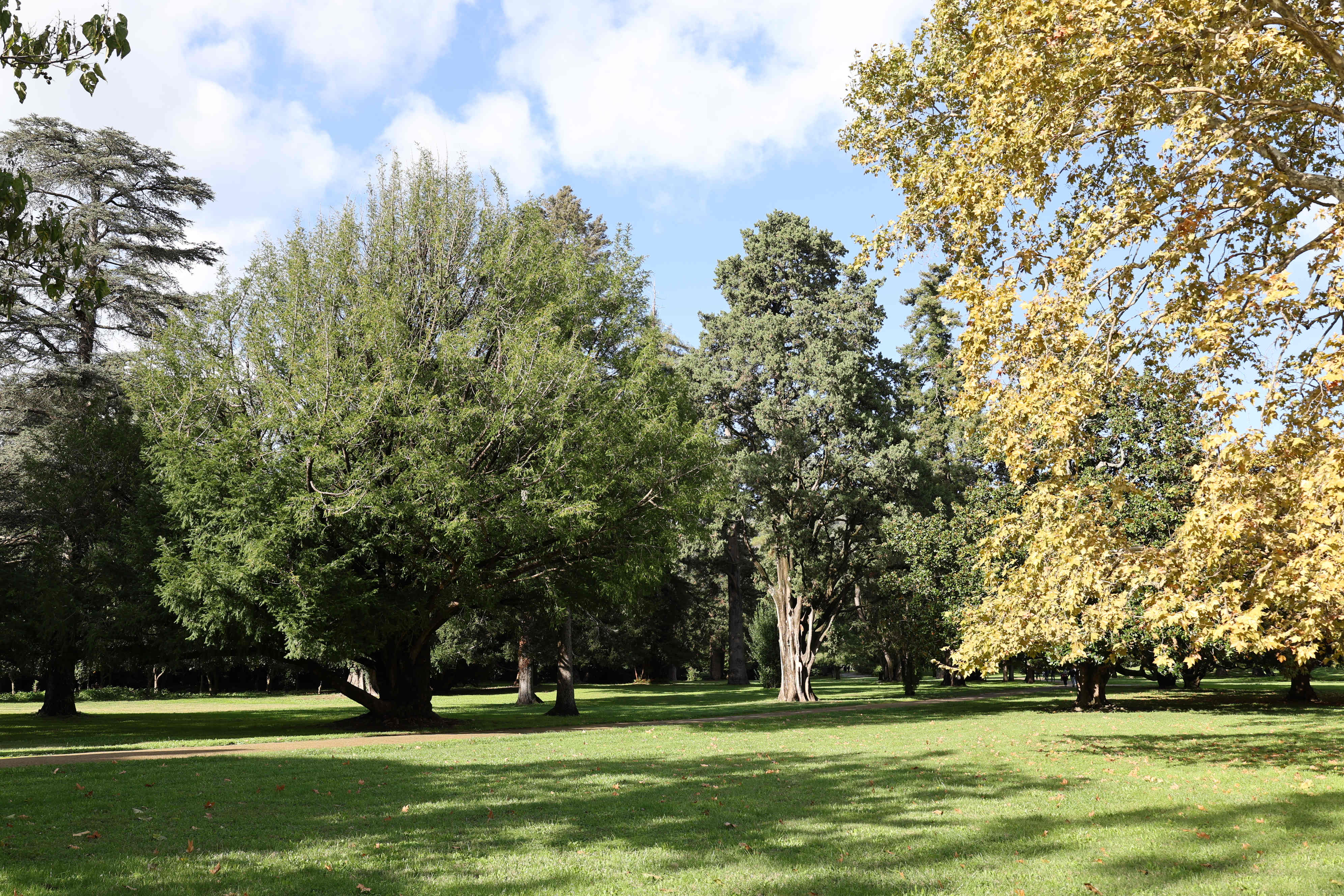 English Garden